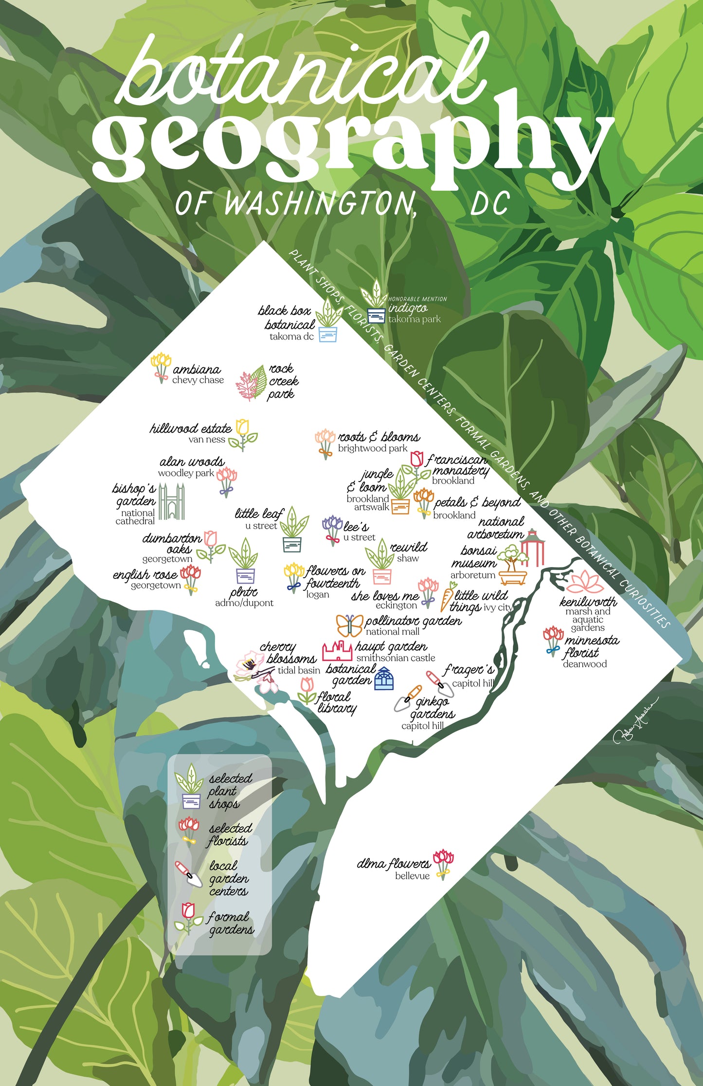 Botanical Geography of Washington DC