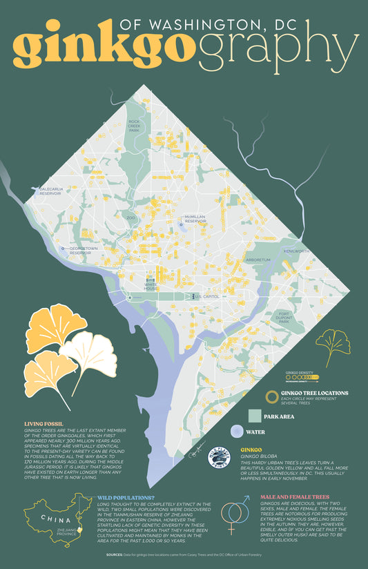 Ginkgograpy of Washington DC map