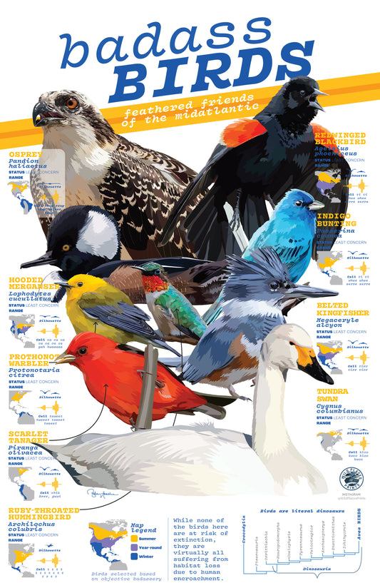 Badass Birds of the Mid-Atlantic Poster