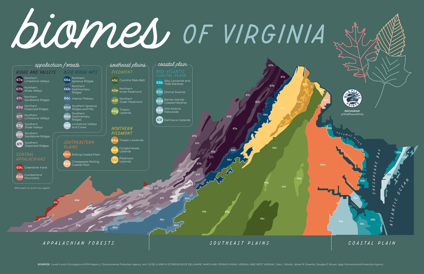 Biomes of Virginia Map
