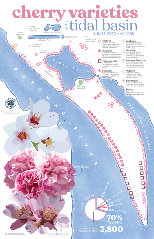 Cherry Varieties of the Tidal Basin Map